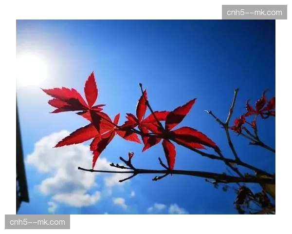 低功耗定位技术覆盖全场 办赛物资轨迹实现全程留痕